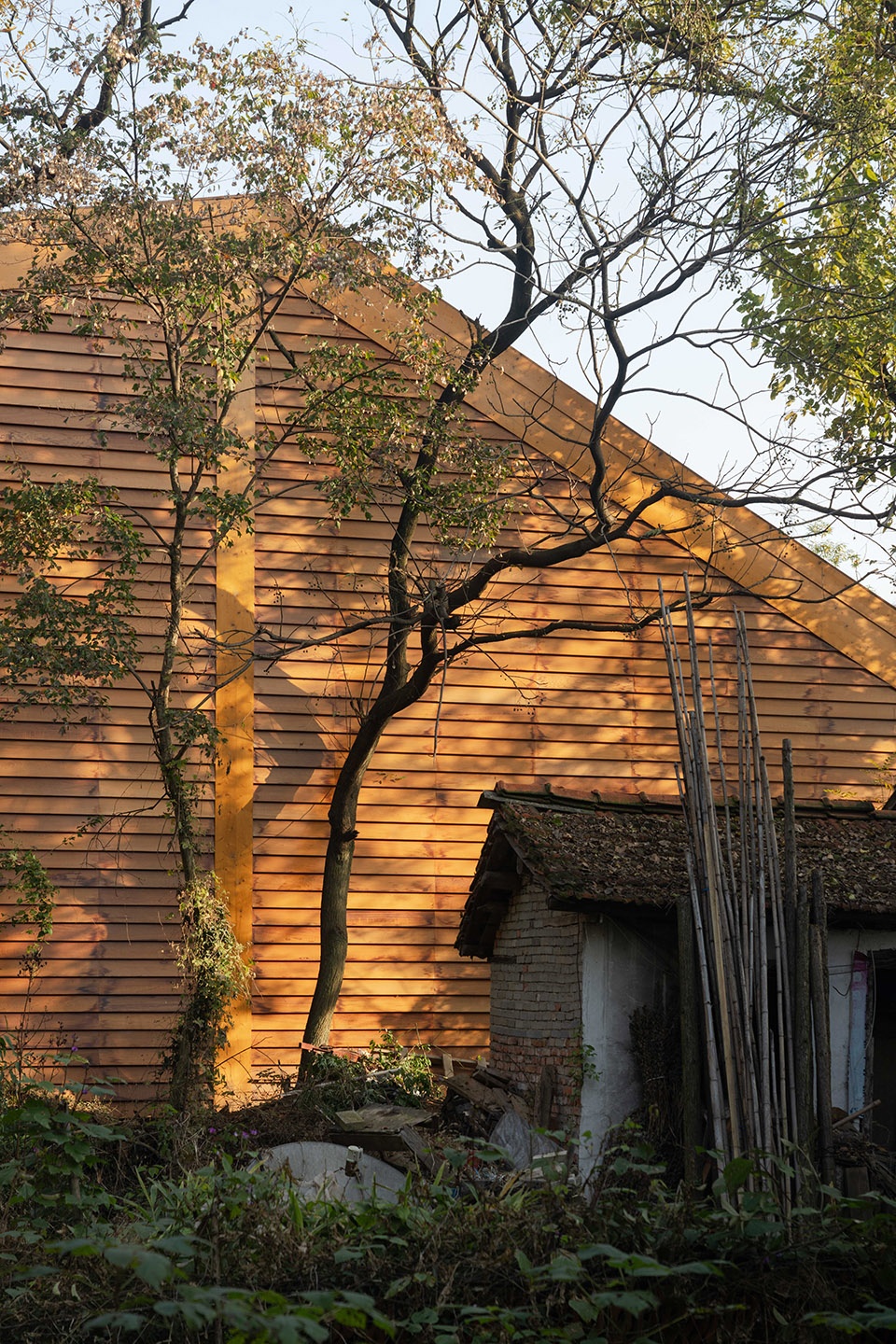 carpenters home by primary architects
