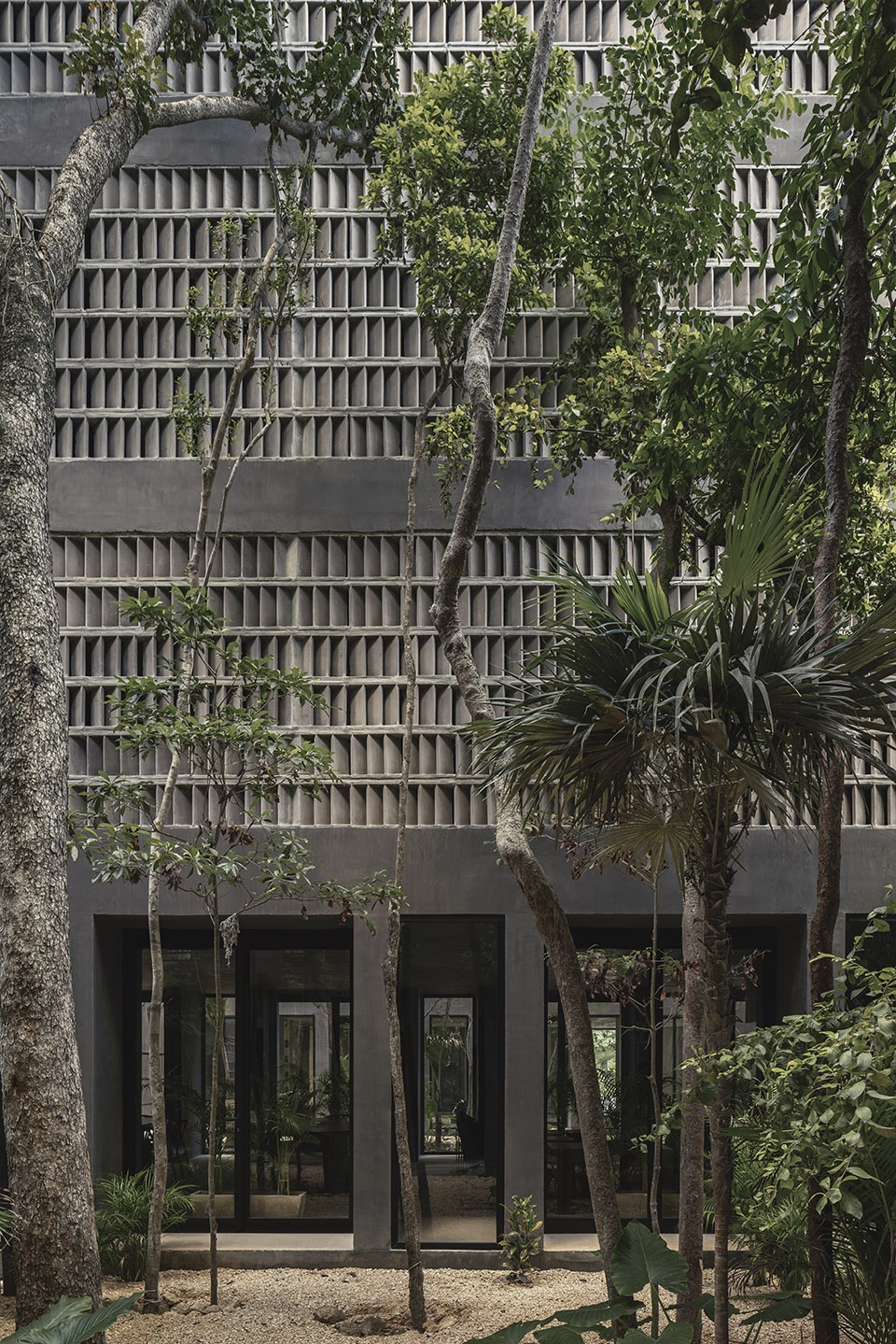 casa selva by g3arquitectos