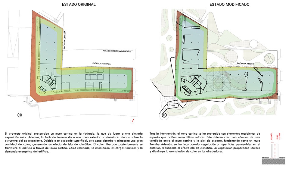 esparto grass and architecture at the new utamed campus by flow 81