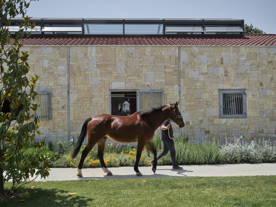 hara seher by equine design studio
