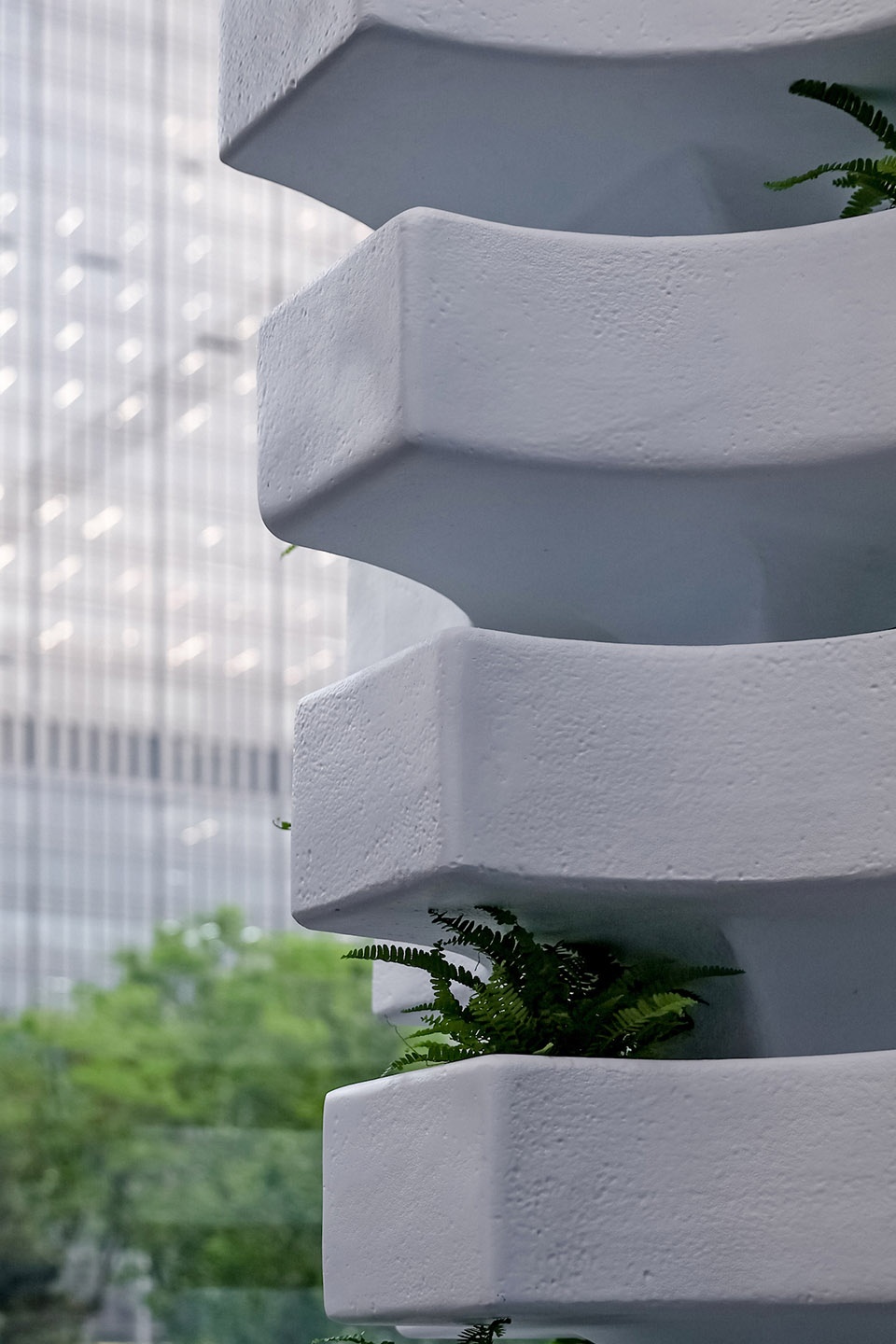 the living spine by mat office