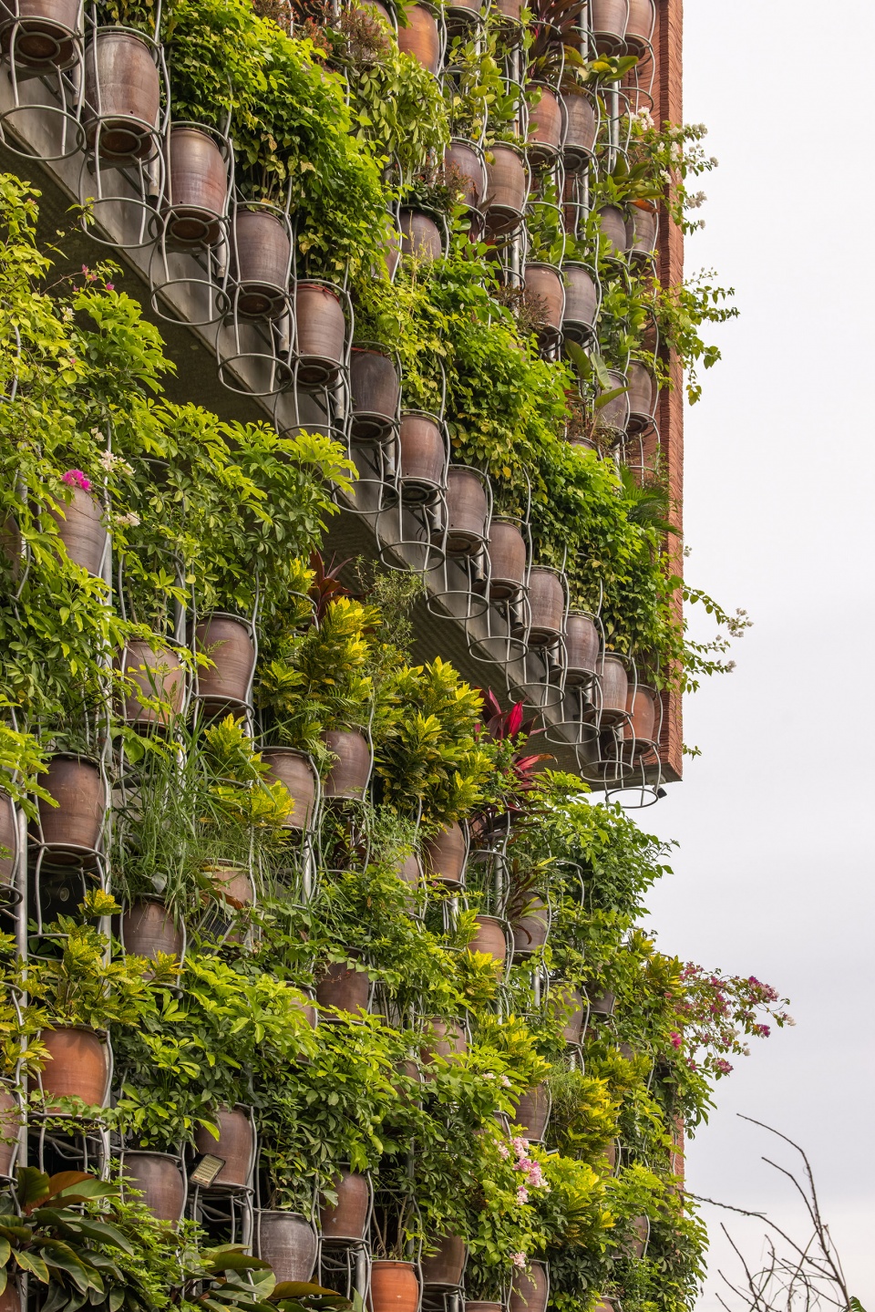 Flying Vegetation