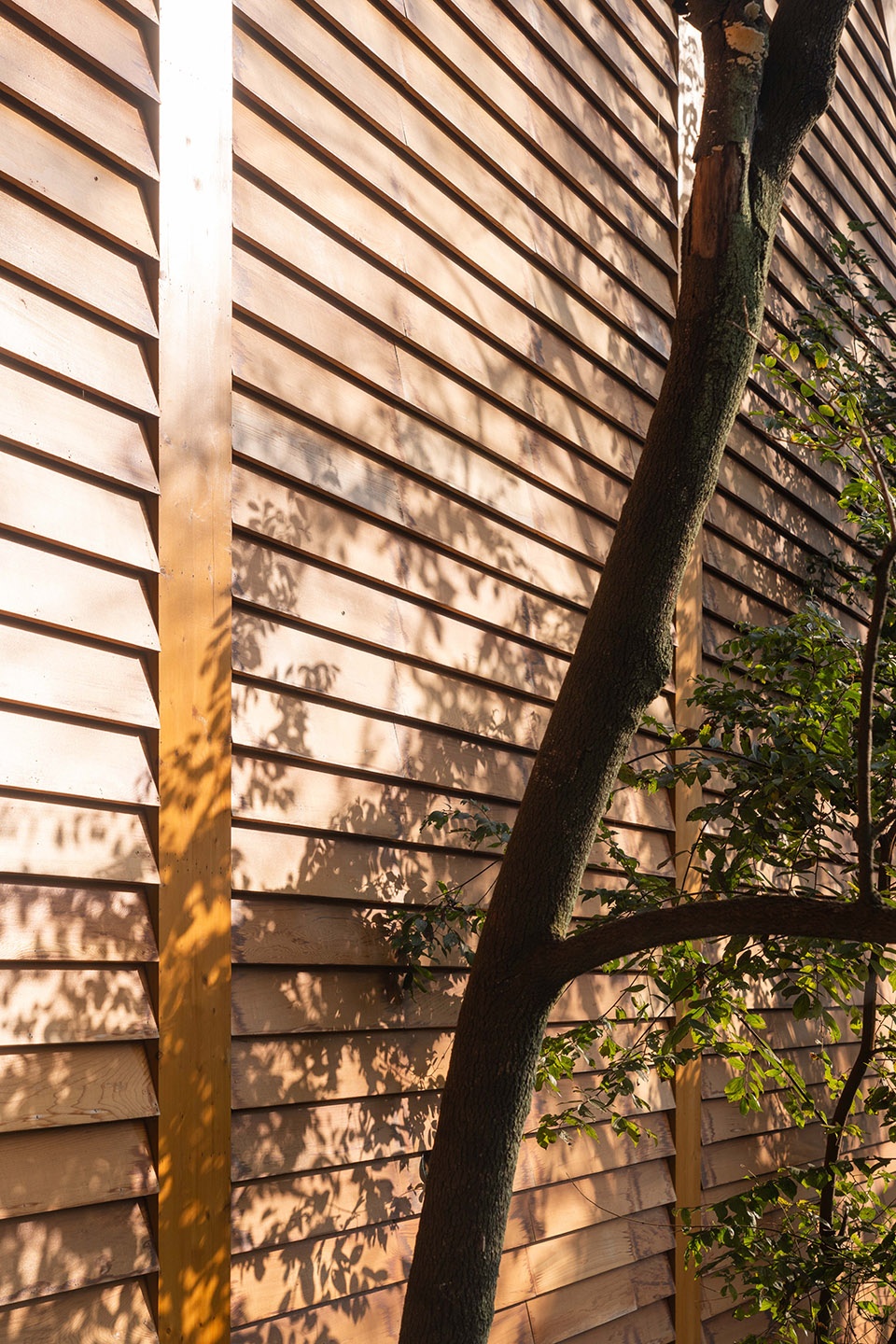 carpenters home by primary architects