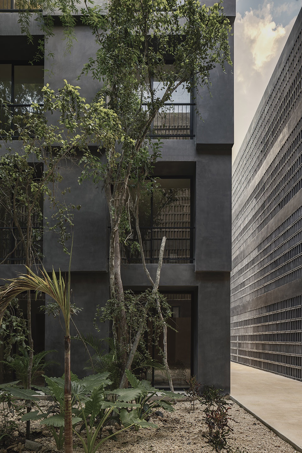 casa selva by g3arquitectos