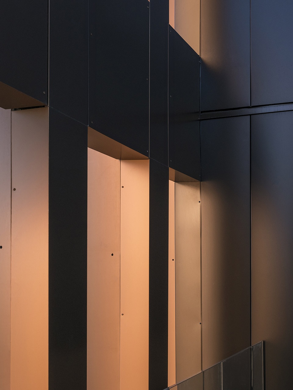 maison de linnovation office by baumschlager eberle architekten