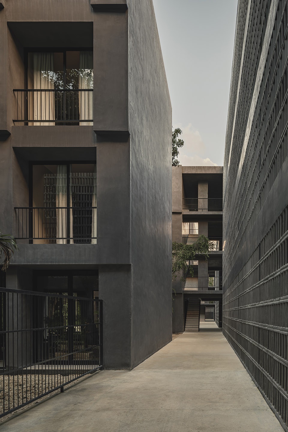 casa selva by g3arquitectos