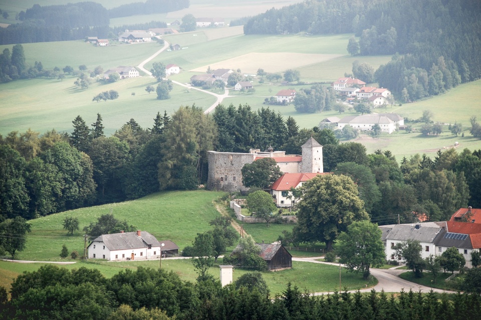Reichenau Castle Ruin