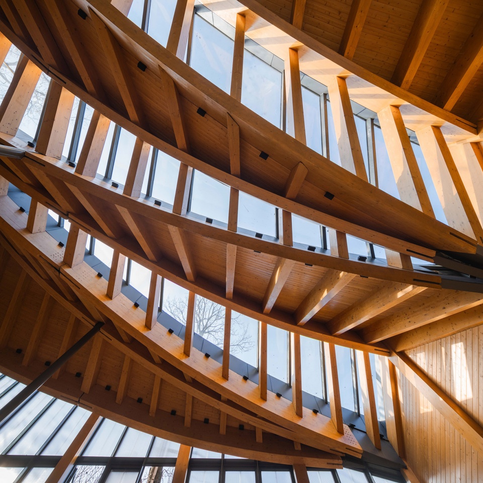 carpenters home by primary architects