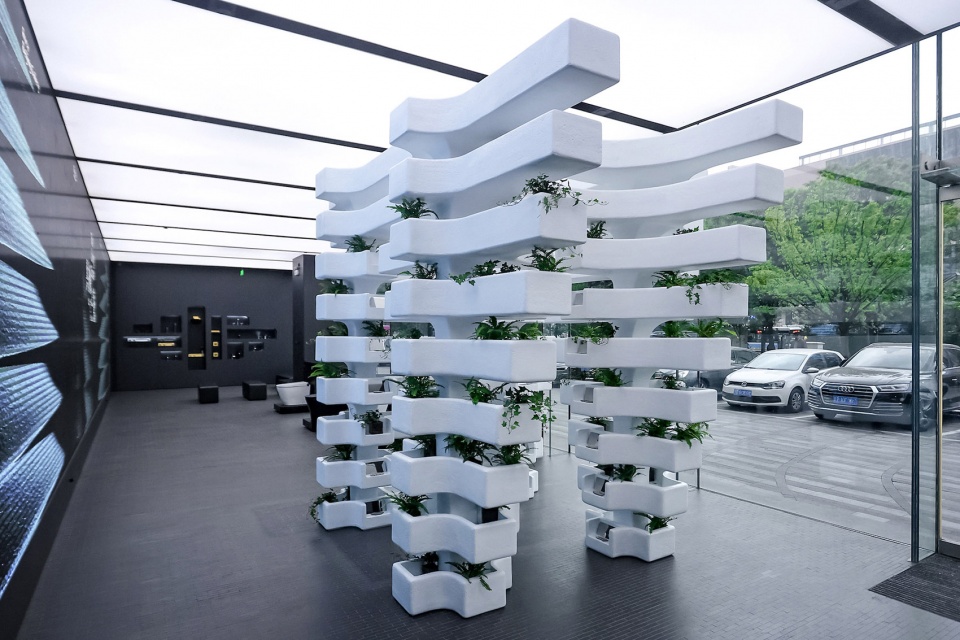the living spine by mat office