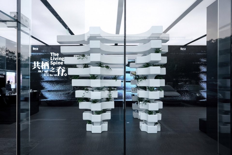 the living spine by mat office