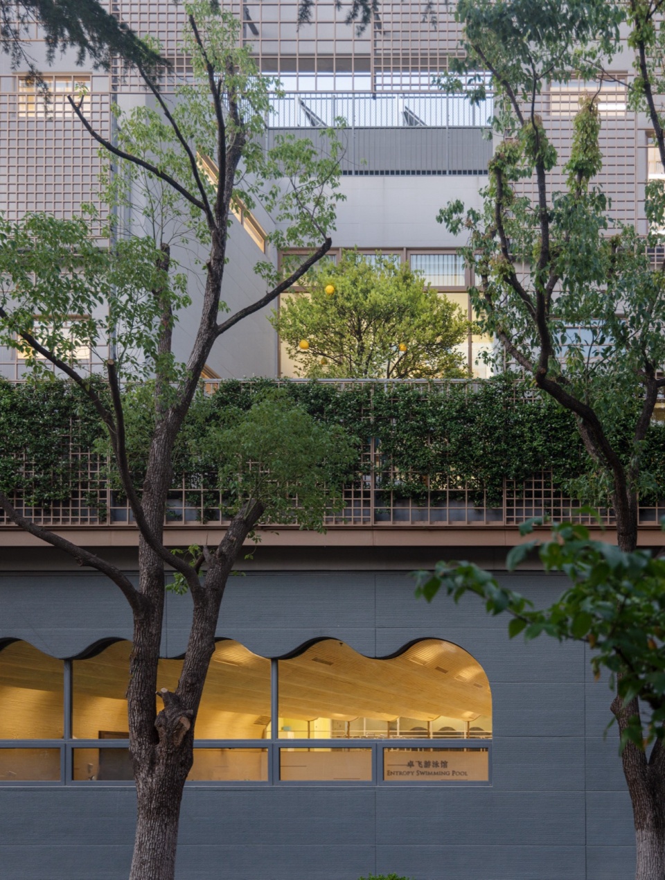 Anna Pao Sohmen Centre at Shanghai YK Pao School by Scenic Architecture Office