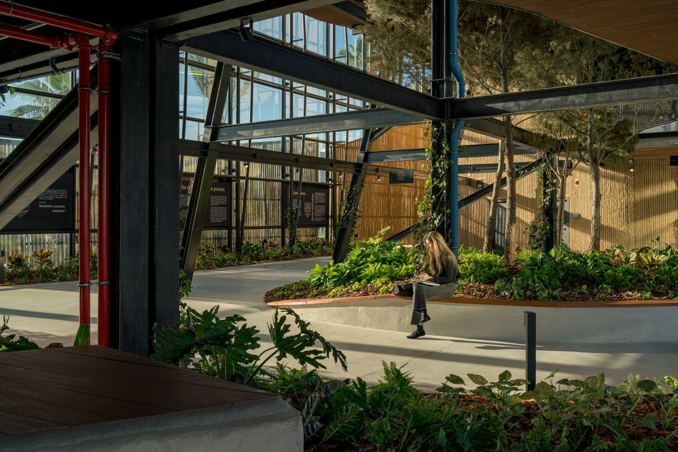 esparto grass and architecture at the new utamed campus by flow 81