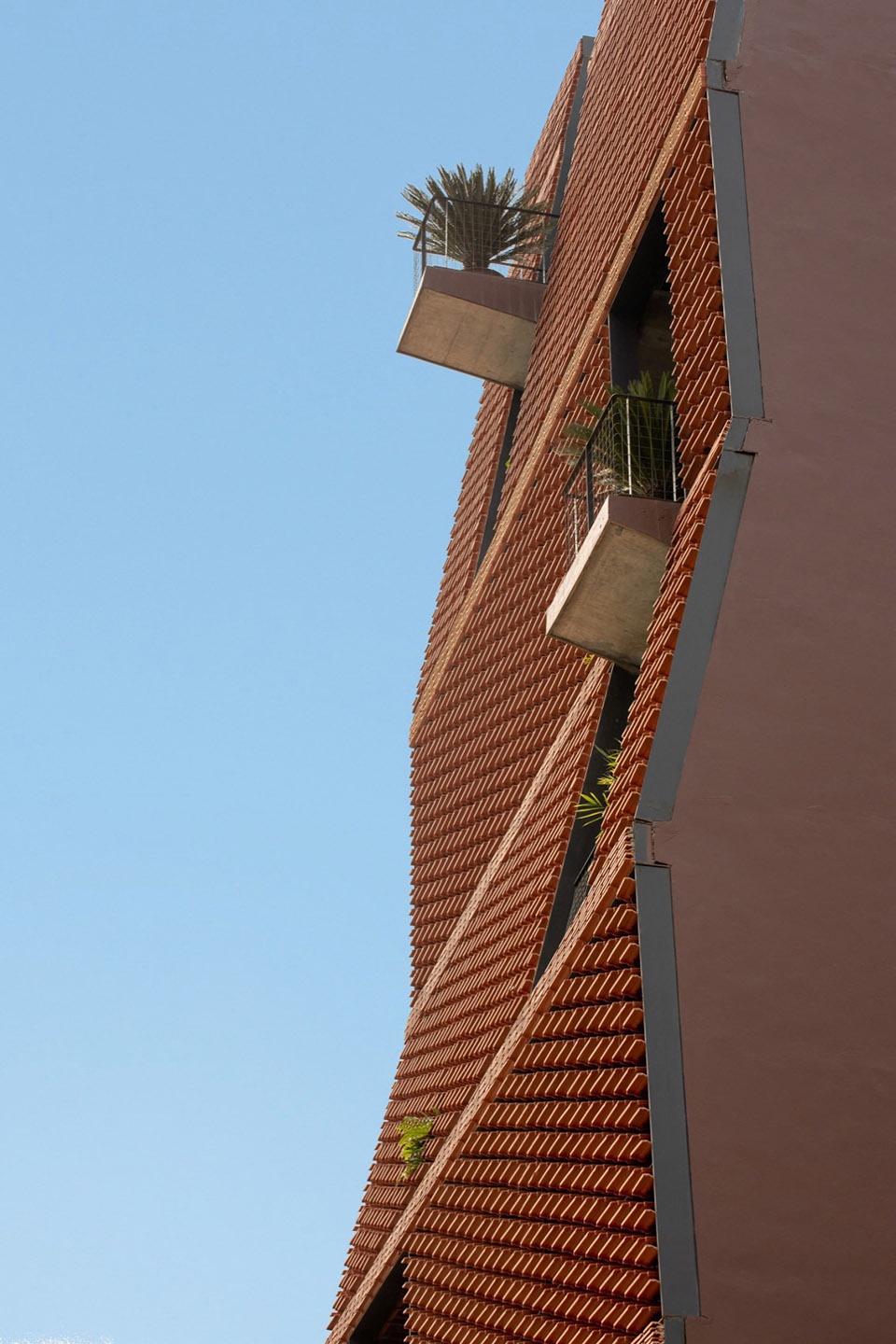 TROPICAL FLOW by HP Architects