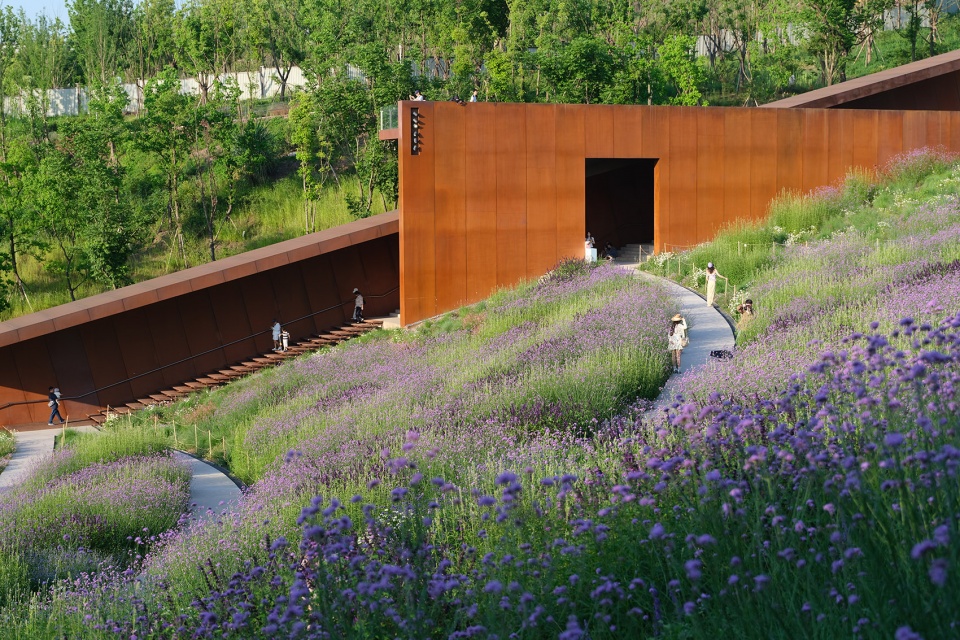 chongqing luxerivers green heart park by chongqing tianhua horticulture
