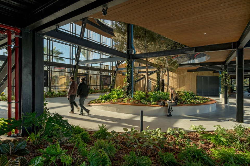 esparto grass and architecture at the new utamed campus by flow 81