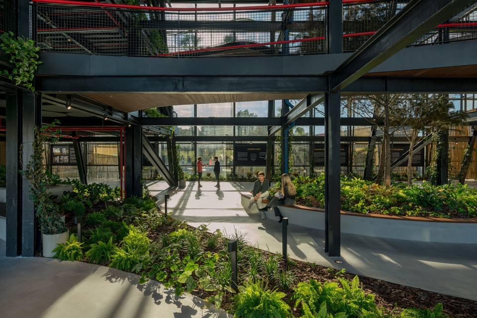 esparto grass and architecture at the new utamed campus by flow 81