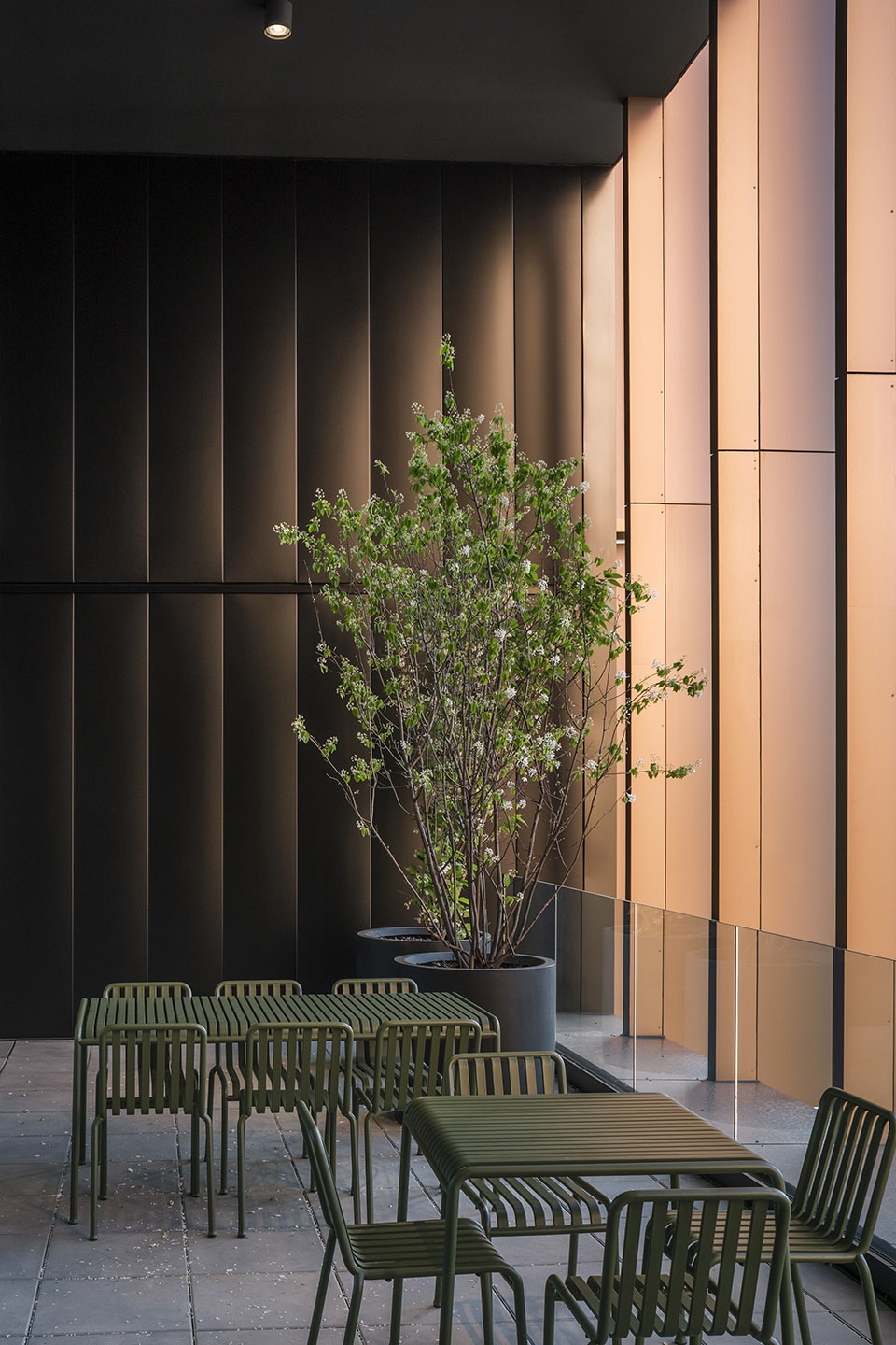 maison de linnovation office by baumschlager eberle architekten