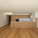 Hintze Ribeiro多户住宅，葡萄牙 / Helder Da Rocha Arquitectos