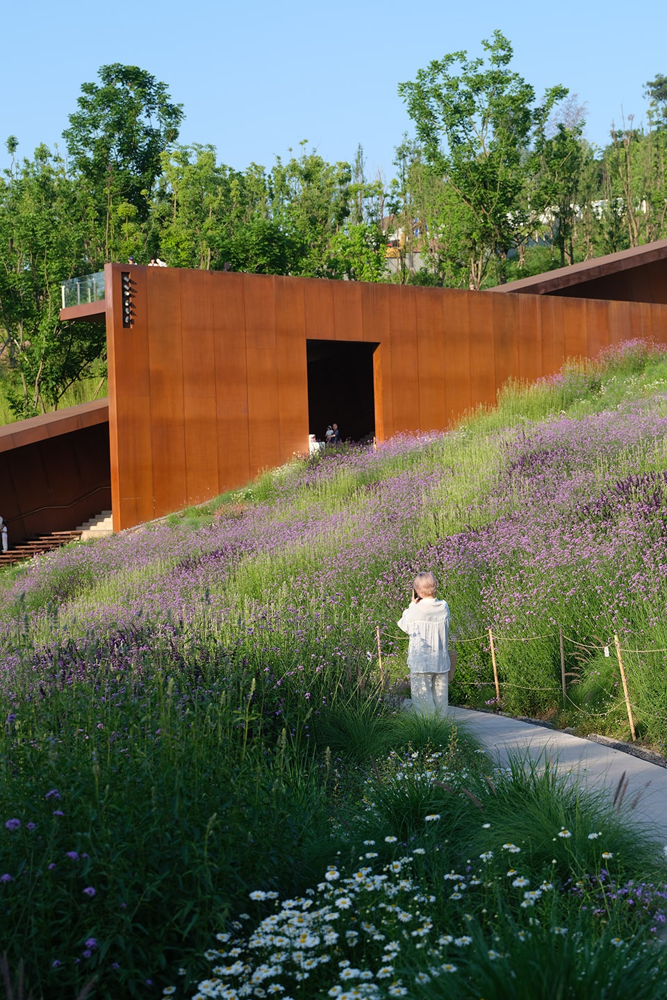 chongqing luxerivers green heart park by chongqing tianhua horticulture