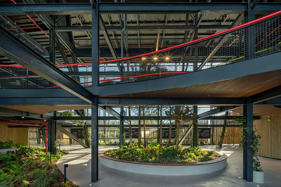 esparto grass and architecture at the new utamed campus by flow 81
