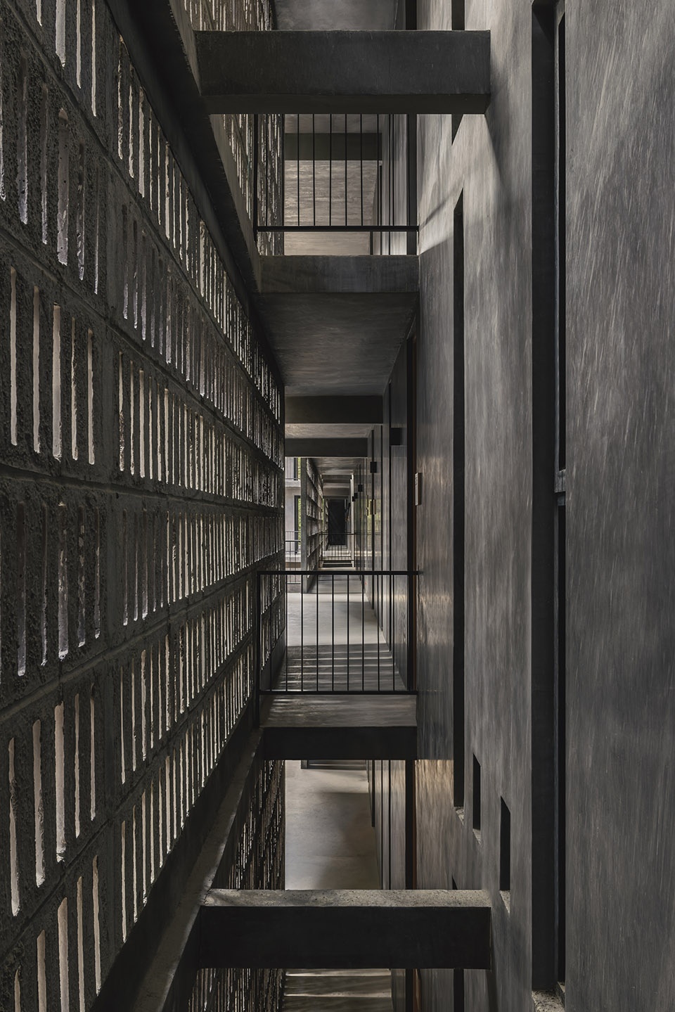 casa selva by g3arquitectos