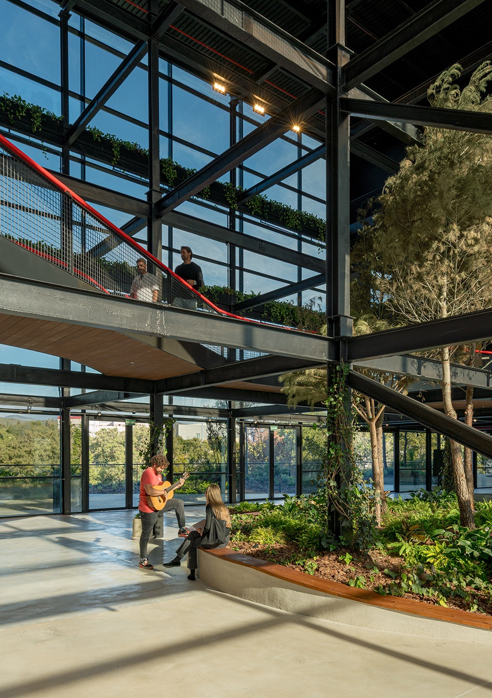 esparto grass and architecture at the new utamed campus by flow 81