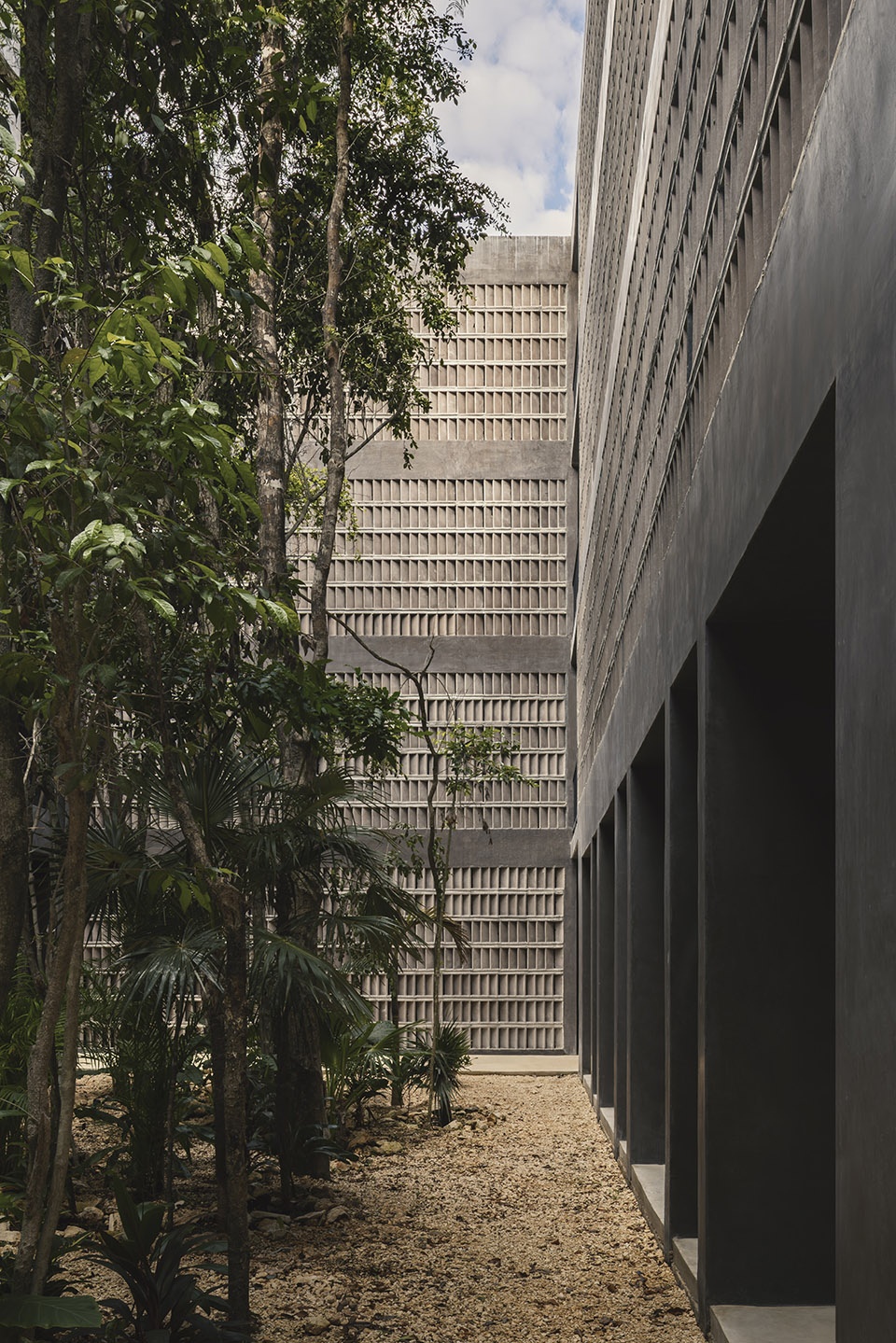 casa selva by g3arquitectos