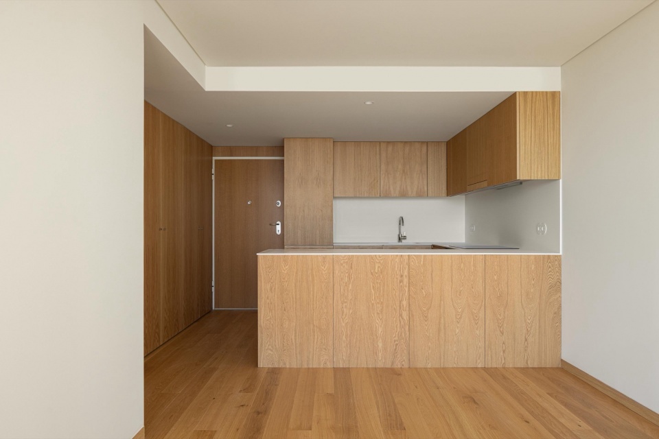 Edifício De Habitacao Multifamiliar Hintze Ribeiro By Helder Da Rocha Arquitectos