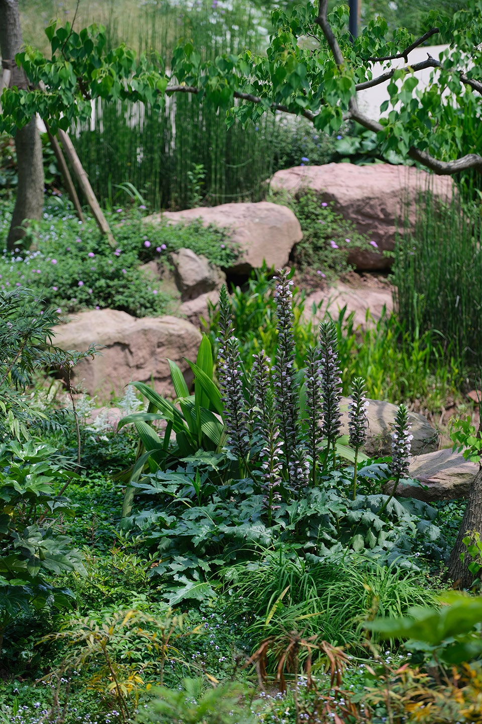 chongqing luxerivers green heart park by chongqing tianhua horticulture