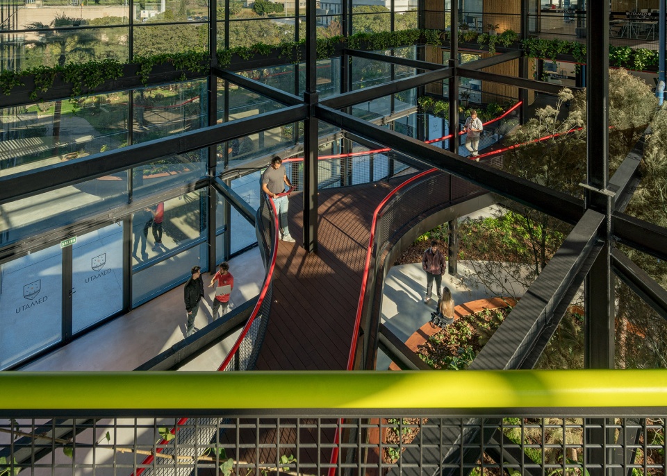 esparto grass and architecture at the new utamed campus by flow 81