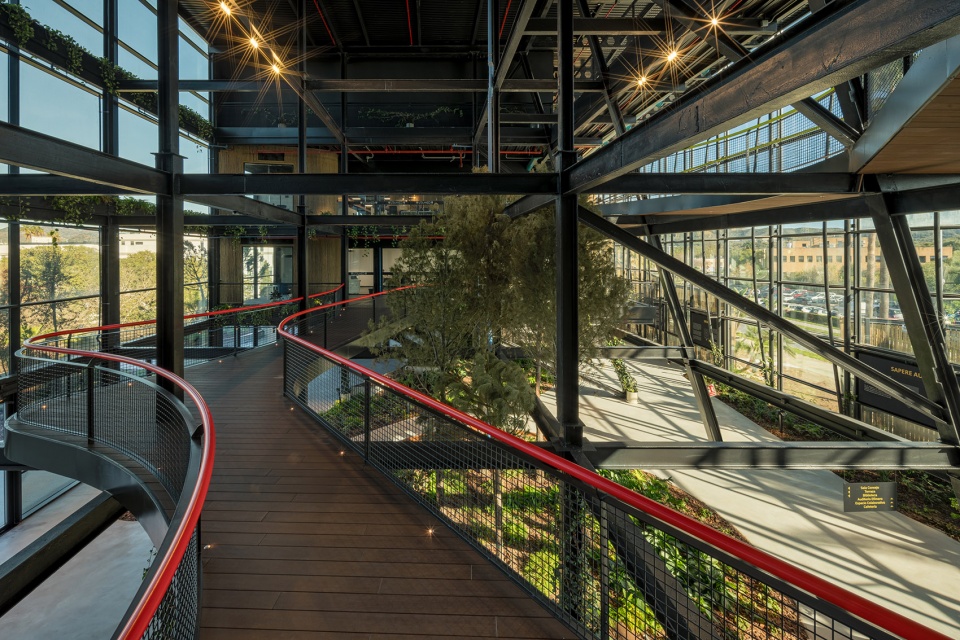 esparto grass and architecture at the new utamed campus by flow 81