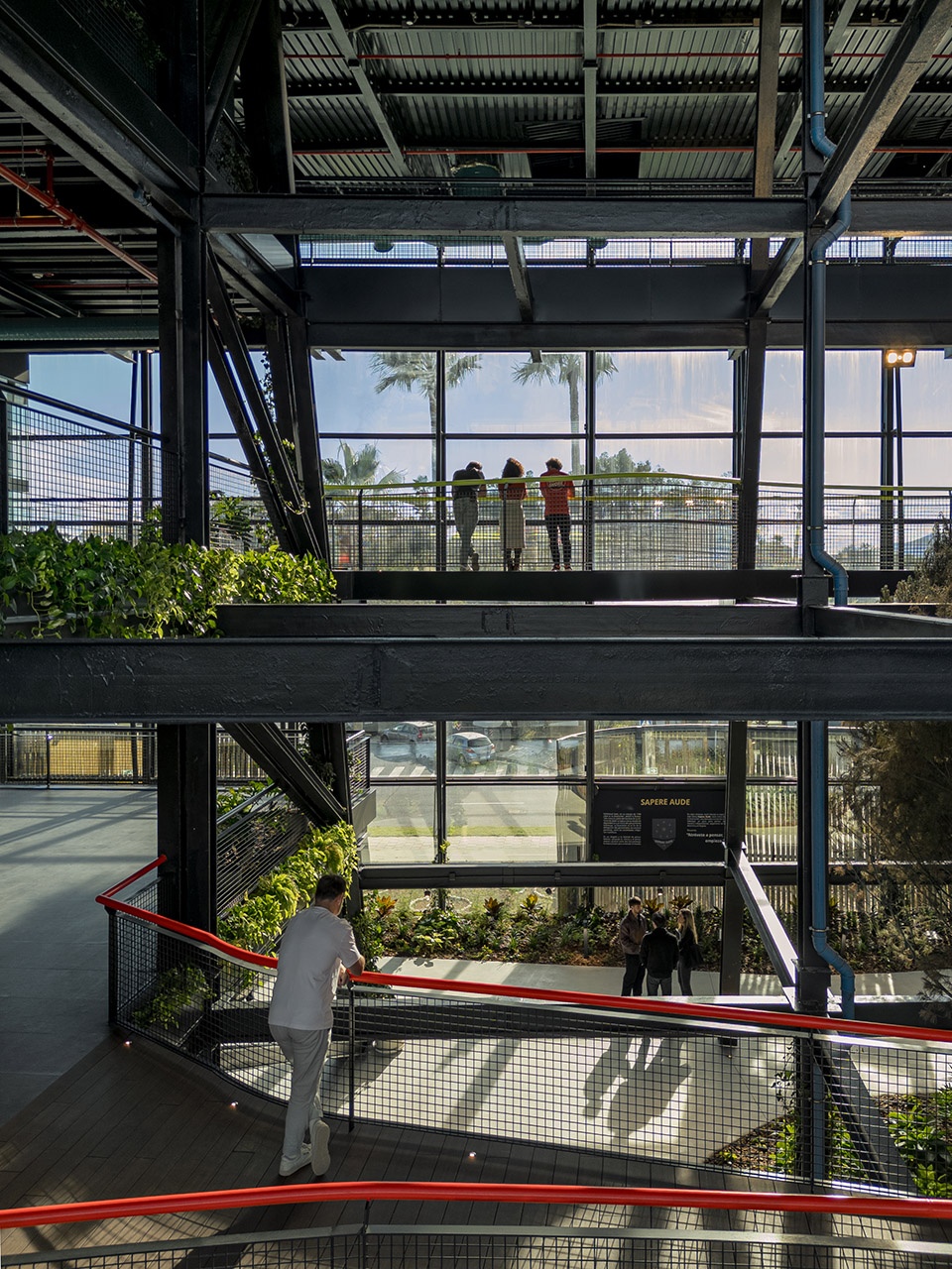 esparto grass and architecture at the new utamed campus by flow 81