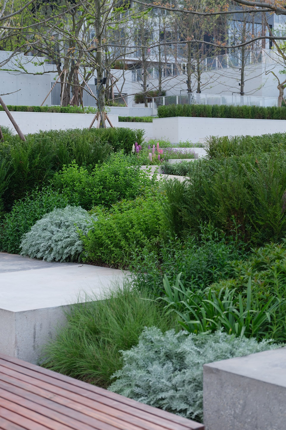 chongqing luxerivers green heart park by chongqing tianhua horticulture