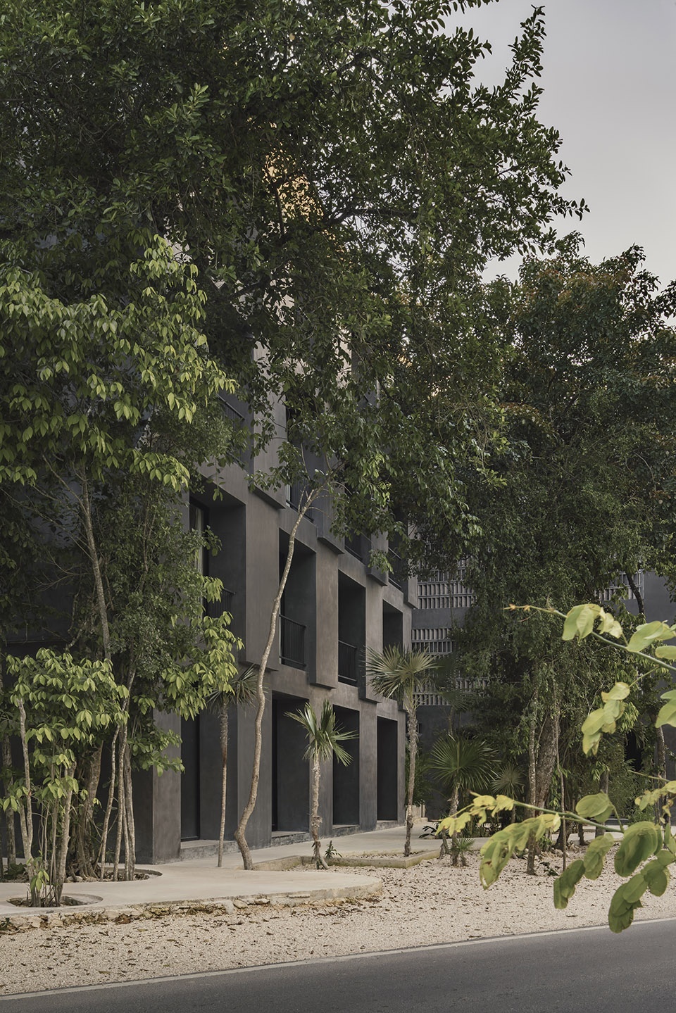 casa selva by g3arquitectos