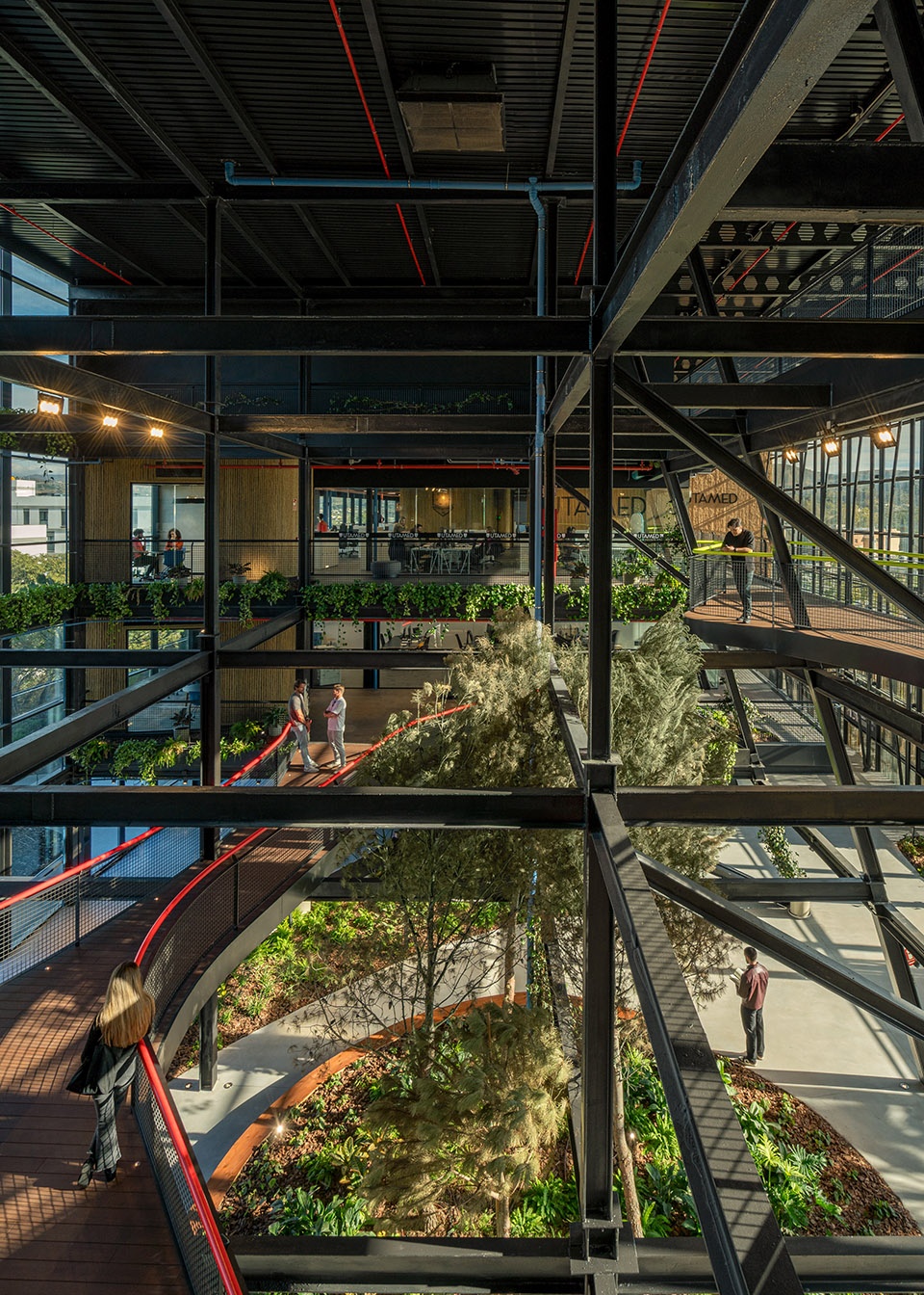 esparto grass and architecture at the new utamed campus by flow 81