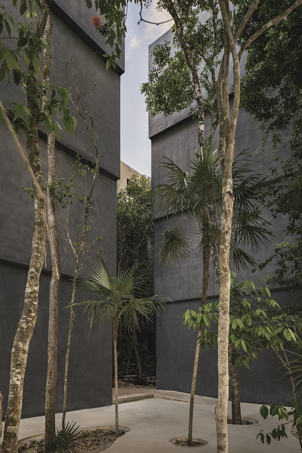 casa selva by g3arquitectos
