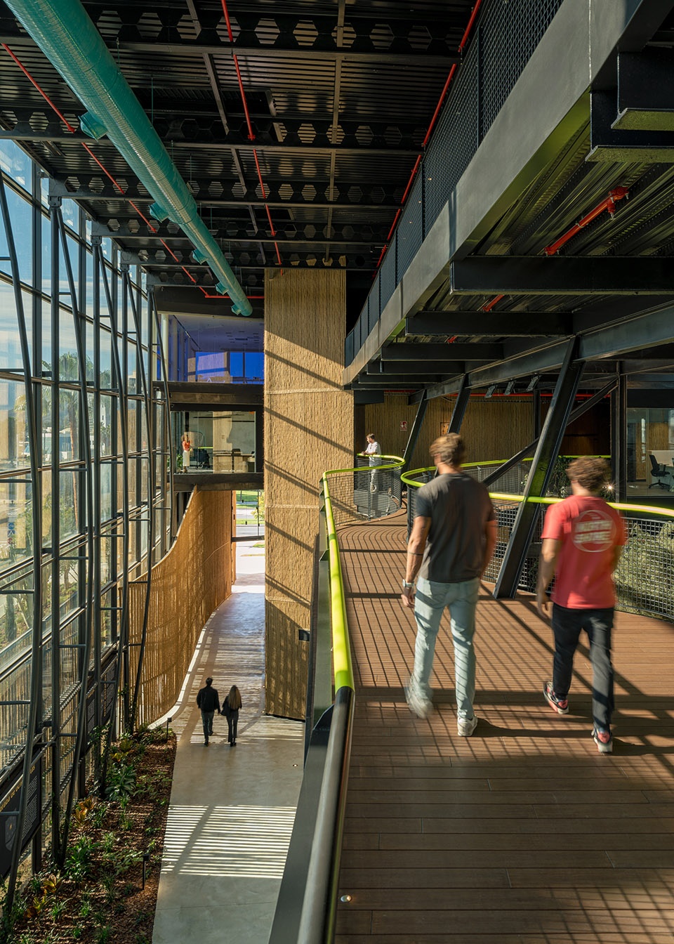 esparto grass and architecture at the new utamed campus by flow 81