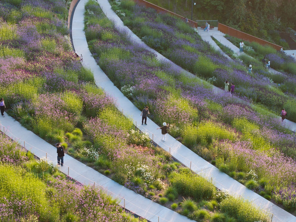chongqing luxerivers green heart park by chongqing tianhua horticulture