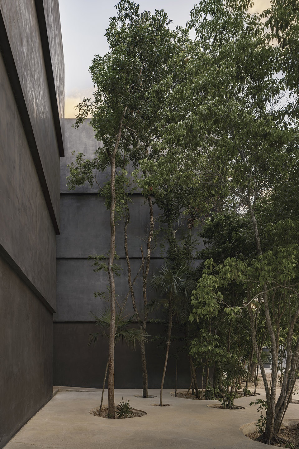 casa selva by g3arquitectos