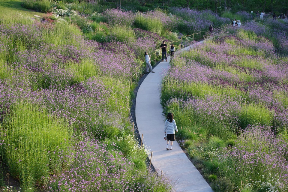 chongqing luxerivers green heart park by chongqing tianhua horticulture