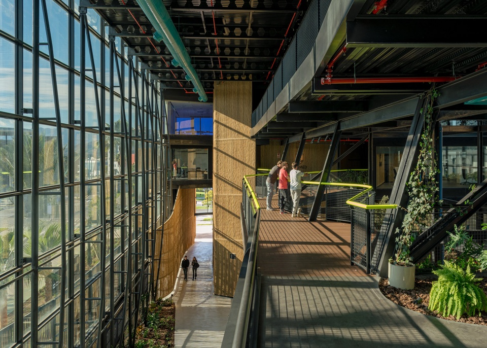 esparto grass and architecture at the new utamed campus by flow 81