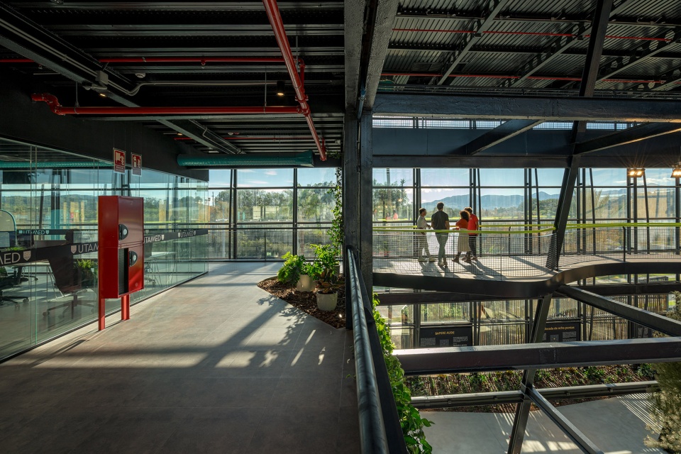 esparto grass and architecture at the new utamed campus by flow 81