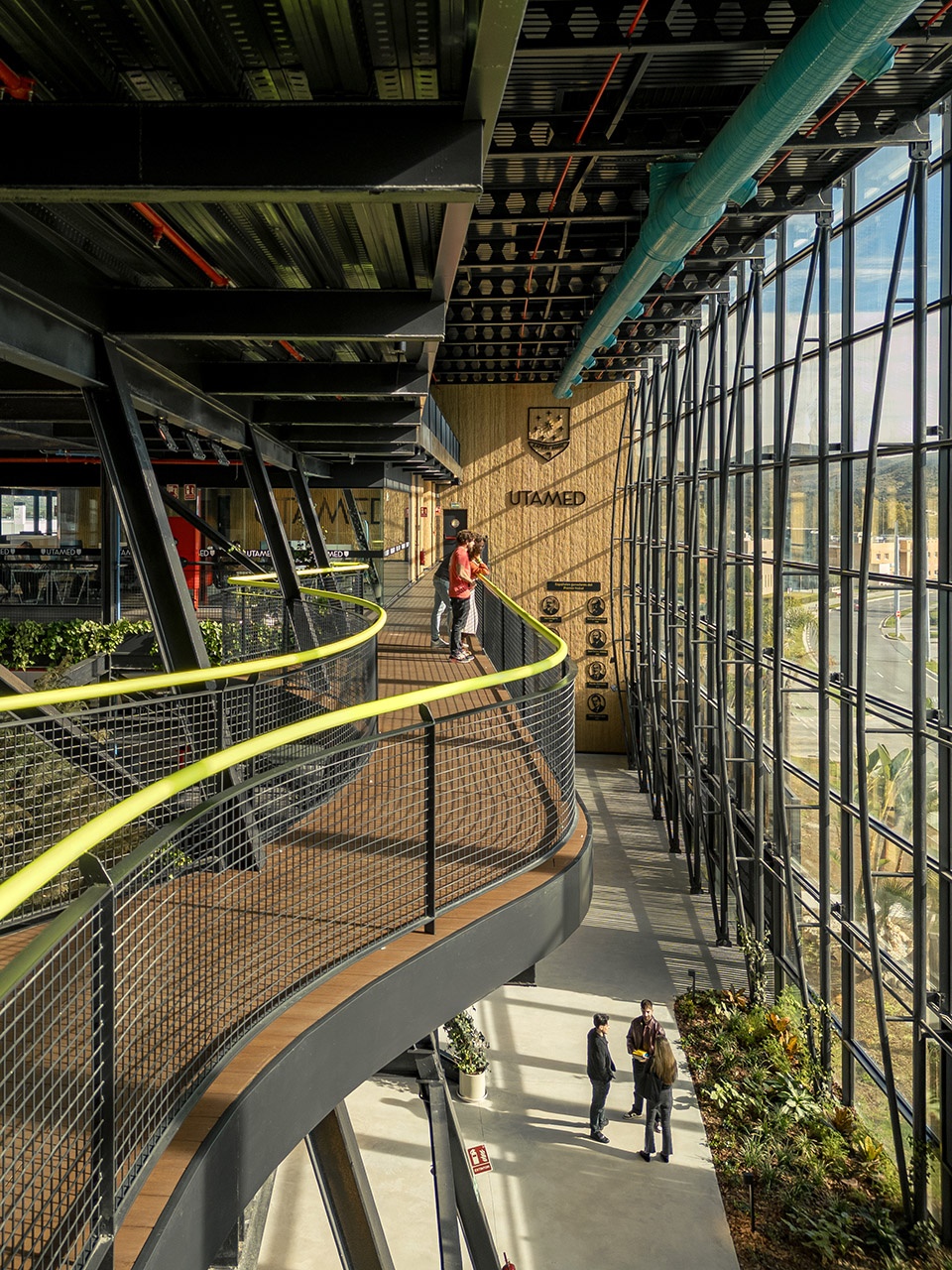 esparto grass and architecture at the new utamed campus by flow 81