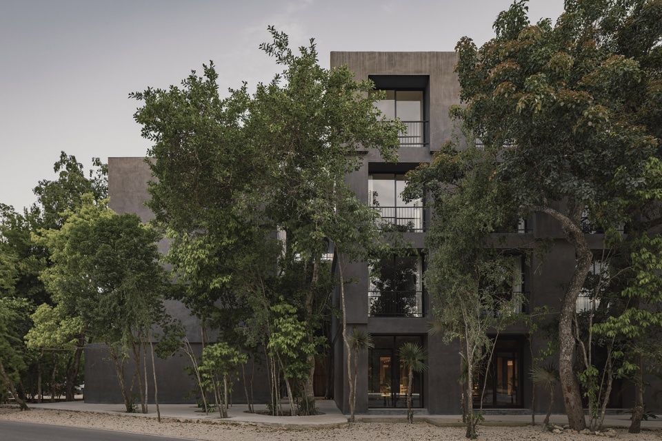 casa selva by g3arquitectos