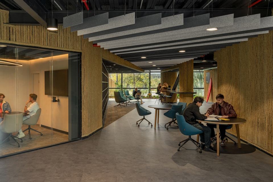 esparto grass and architecture at the new utamed campus by flow 81