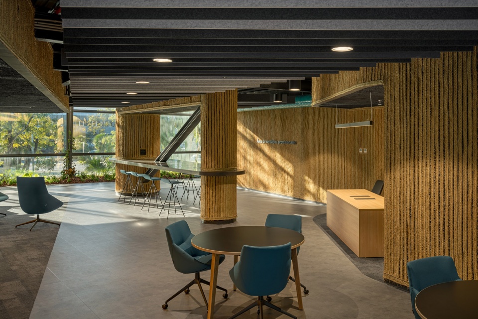 esparto grass and architecture at the new utamed campus by flow 81