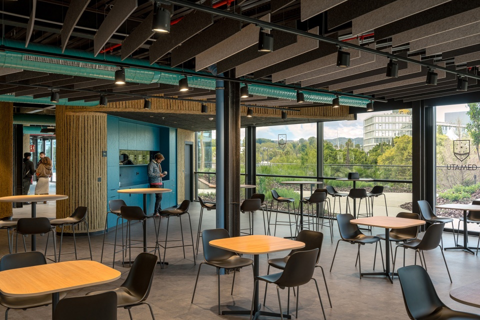 esparto grass and architecture at the new utamed campus by flow 81
