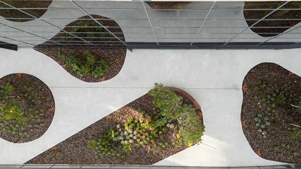 esparto grass and architecture at the new utamed campus by flow 81