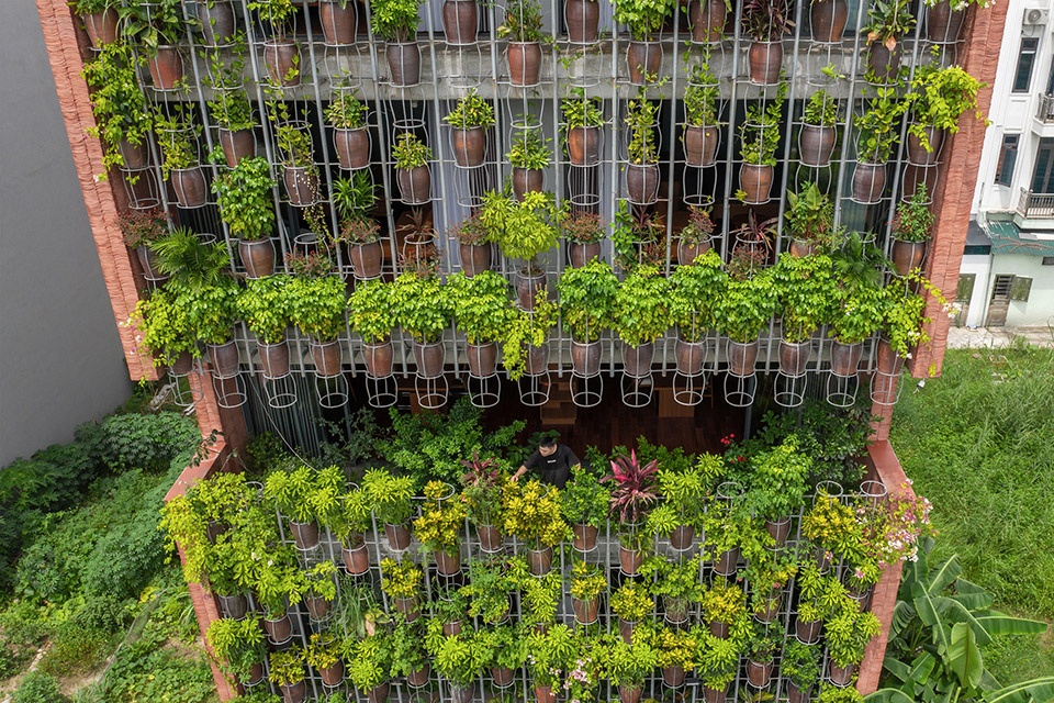 Flying Vegetation