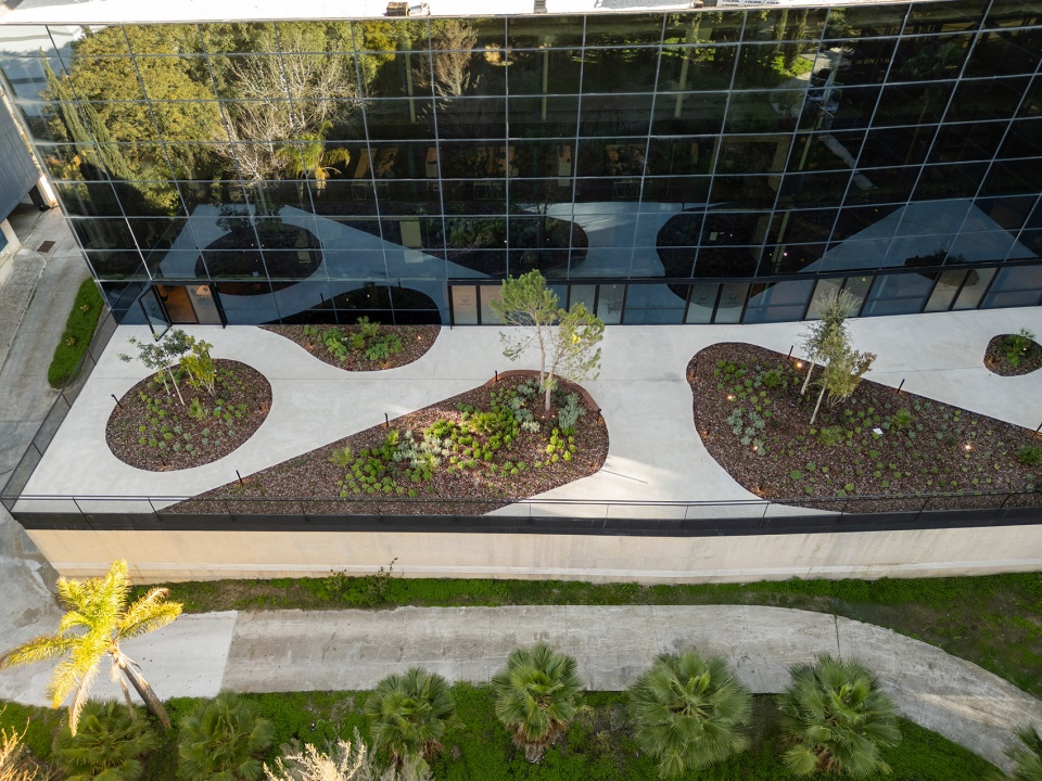 esparto grass and architecture at the new utamed campus by flow 81